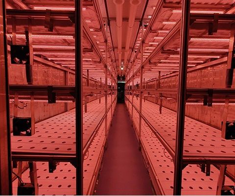 Casa contenitore per la coltivazione di ortaggi a foglia Tecnologia di coltivazione idroponica