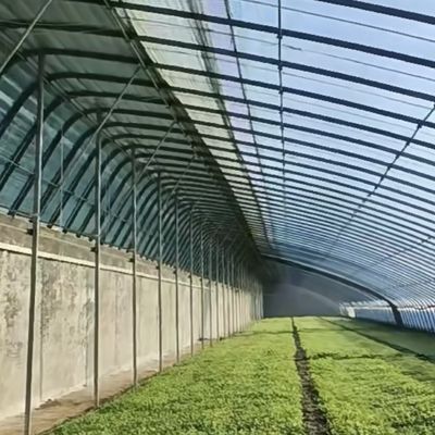 Serra per la coltivazione di fiori a pellicola vegetale con irrigazione a goccia e copertura di fogli di plastica