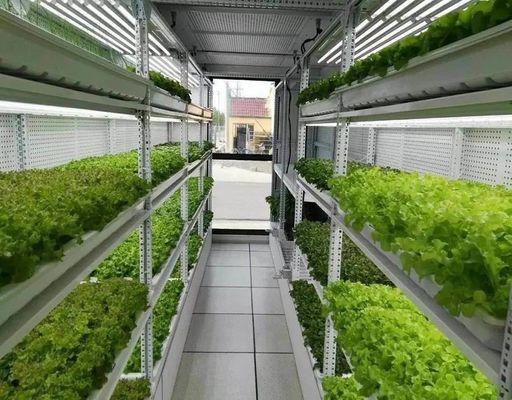 Sistema di illuminazione per l'agricoltura dei container con tempi di consegna stimati e bassi costi di spedizione