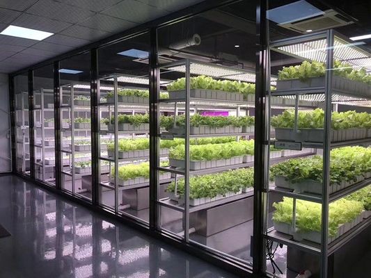 Sistema di illuminazione per l'agricoltura dei container con tempi di consegna stimati e bassi costi di spedizione