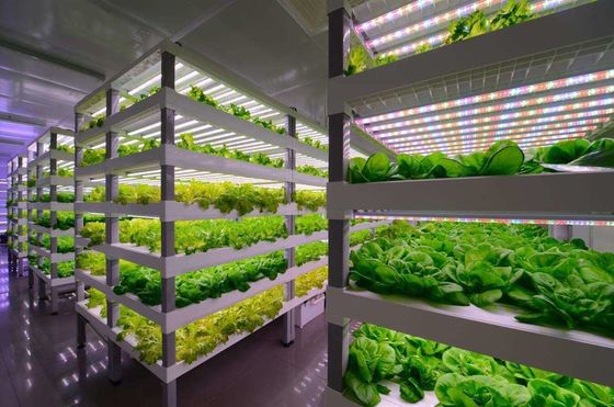 Sistema di illuminazione per l'agricoltura dei container con tempi di consegna stimati e bassi costi di spedizione