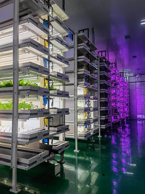 Sistema di illuminazione per l'agricoltura dei container con tempi di consegna stimati e bassi costi di spedizione