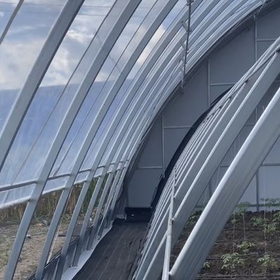 Pacchetto Peso lordo 100.000kg JX-A00215 Idroponica Coltivazione di fiori Produzione di ortaggi