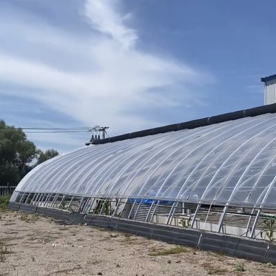 Serra a luce solare con tetto ad arco per la semina di ortaggi US 20/mq