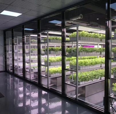 Dipartimento Spedizioni Container Serra Soluzione di illuminazione a LED per la coltivazione di ortaggi