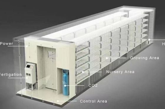 Dipartimento Spedizioni Container Serra Soluzione di illuminazione a LED per la coltivazione di ortaggi