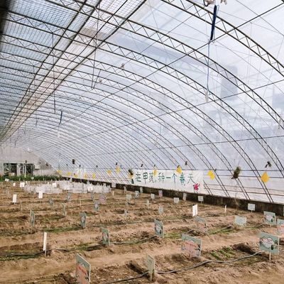 Piantagione di fiori Serra solare con struttura in acciaio doppio o singolo strato