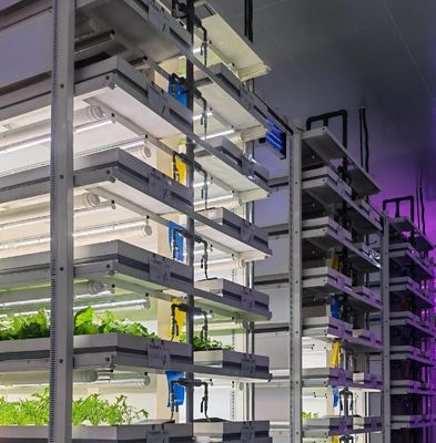 Sistema di contenitori per l'agricoltura idroponica verticale in serra in contenitore 40ft 40HQ Reefer