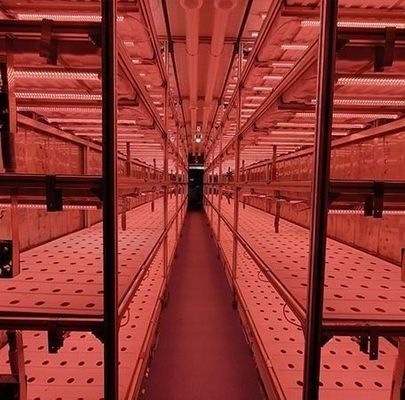 Materiale di copertura in acciaio Sistema di contenitori per agricoltura verticale idroponica per tetti a forma