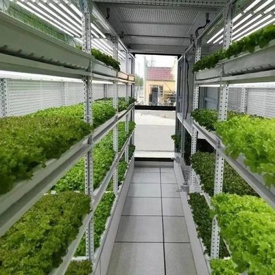 Materiale di copertura in acciaio Sistema di contenitori per agricoltura verticale idroponica per tetti a forma