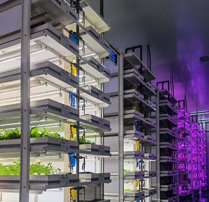 Materiale di copertura in acciaio Sistema di contenitori per agricoltura verticale idroponica per tetti a forma