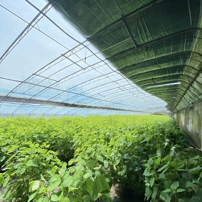 Tetti ad arco Acquicoltura Fiori Sistema serra a luce solare Garanzia di rimborso di 30 giorni