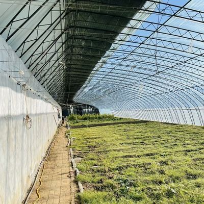Serra per la coltivazione di ortaggi e fiori JX-A00227