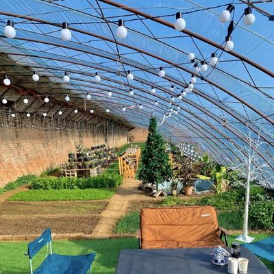 Serra a luce solare per piantare fiori di origine Pacchetto dimensione 50,00cm * 60,00cm * 50,00cm