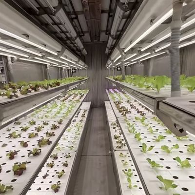 Materiale di copertura in acciaio Contenitore di carico Serra per verdure Personalizzazione personalizzata