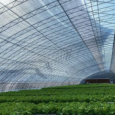 Serre a luce solare multi-span La scelta definitiva per la produzione vegetale idroponica
