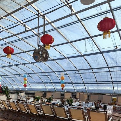 Serre a luce solare multi-span La scelta definitiva per la produzione vegetale idroponica