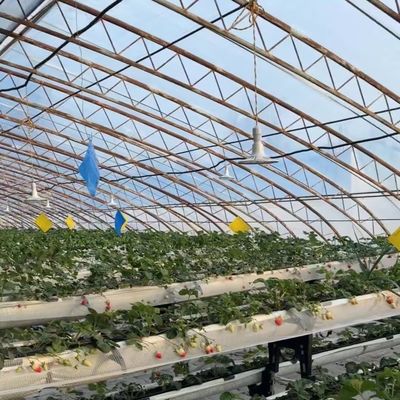 Costo di spedizione e tempo di consegna stimato per la serra per semina idroponica commerciale