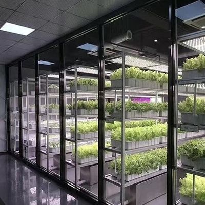 Serra commerciale Serra contenitore Il modo rivoluzionario per coltivare verdure a foglia verde