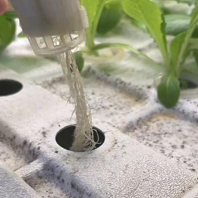 Fogli di copertura per serre per contenitori di verdure a foglia JX-A00103 adatti a verdure a foglia
