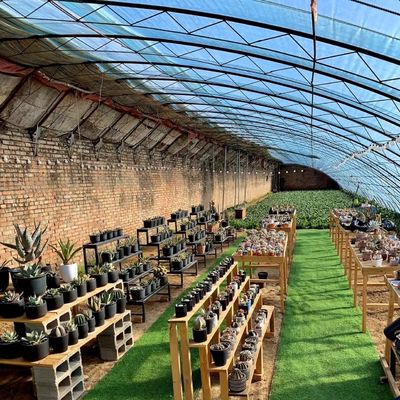 Pacchetto Peso lordo 100.000 kg Luce solare Serra per irrigazione a goccia per piantagione di fiori