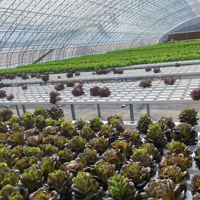 Pacchetto Peso lordo 100.000 kg Luce solare Serra per irrigazione a goccia per piantagione di fiori