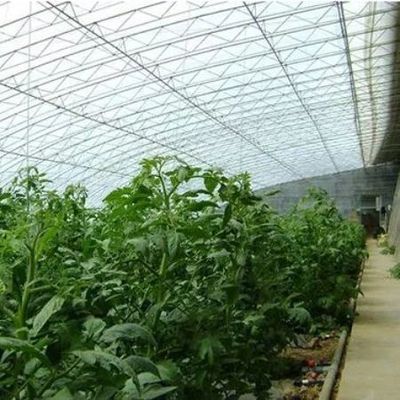 Sistema avanzato di controllo dell'umidità e di illuminazione solare per verdure in serra commerciale