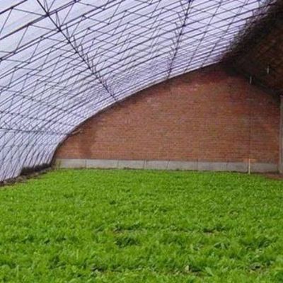 Sistema avanzato di controllo dell'umidità e di illuminazione solare per verdure in serra commerciale