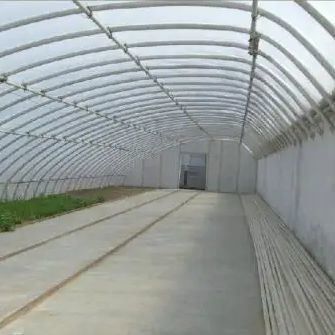 Serra a luce solare controllata dall'umidità per la coltivazione di grandi cetrioli di pomodoro nella sabbia