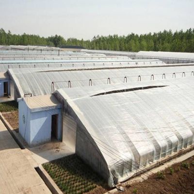 2000.000kg di pacchetto Peso lordo Sistema di serra per la coltivazione di ortaggi avanzata