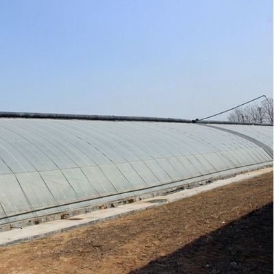 2000.000kg di pacchetto Peso lordo Sistema di serra per la coltivazione di ortaggi avanzata