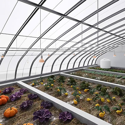Pagamento completo Juxiang prime s illuminare la luce del sole serra per il film di copertura del pomodoro materiale