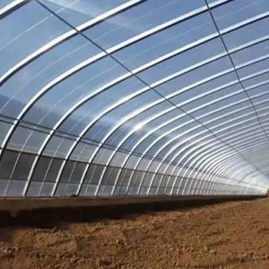 Pagamento completo Juxiang prime s illuminare la luce del sole serra per il film di copertura del pomodoro materiale