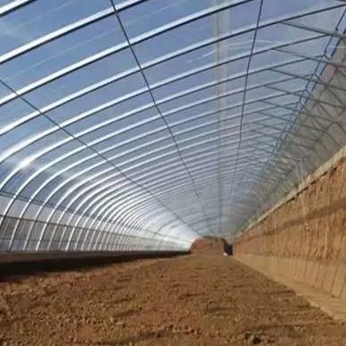 Sistema di irrigazione e ventilazione per l'ombreggiatura delle piantagioni di cetrioli in serra a luce solare