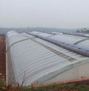 JX-SG-111 Serra solare climatizzata per la coltivazione di ortaggi a sabbia