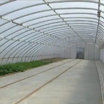 2000.000kg Coltivazione di pomodori e cetrioli Soluzione serra a luce solare con tetto ad arco