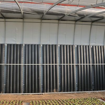 2000.000kg Coltivazione di pomodori e cetrioli Soluzione serra a luce solare con tetto ad arco