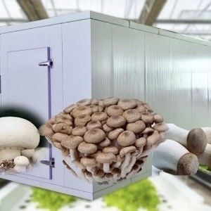 Struttura in acciaio a doppio strato Contenitore di spedizione Serra per la coltivazione di verdure a foglia
