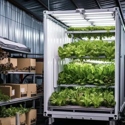 Serra per contenitori di alveari per ortaggi a foglia Serra per contenitori intelligenti