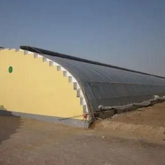 La coltivazione su larga scala di cetrioli facilitata da una serra commerciale a controllo dell'umidità