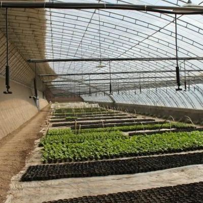 La coltivazione su larga scala di cetrioli facilitata da una serra commerciale a controllo dell'umidità