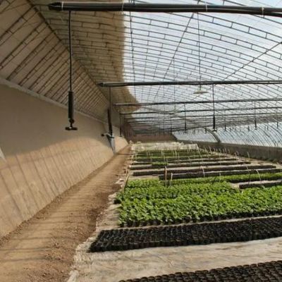 Coltivazione di pomodori Serra solare con controllo dell'umidità e controllo della temperatura