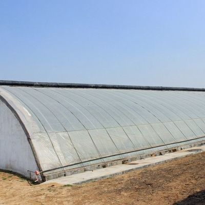 Metodo di riscaldamento in serra idroponica commerciale per la coltivazione di cetrioli riscaldamento temporaneo