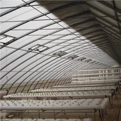 Coltivazione di ortaggi avanzata Serra a luce solare 40HQ Contenitore Reefer per Superior