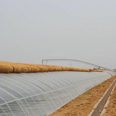 Coltivazione di ortaggi avanzata Serra a luce solare 40HQ Contenitore Reefer per Superior