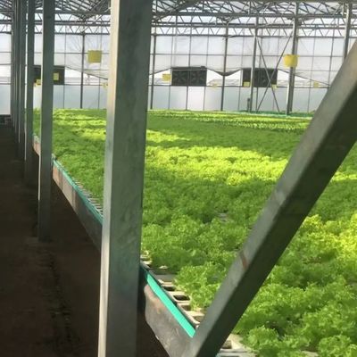 Agricoltura verticale Contenitore di trasporto serra con idroponica e struttura in acciaio