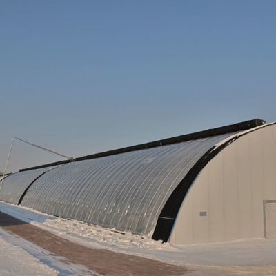 Metro quadrato Coltivazione commerciale di cetrioli Soluzione in serra a luce solare con produzione