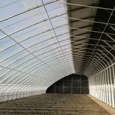 Metro quadrato Coltivazione commerciale di cetrioli Soluzione in serra a luce solare con produzione