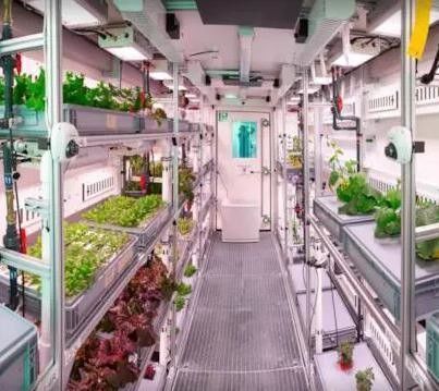 Struttura in acciaio Sistema idroponico Contenitore serra per la soluzione di agricoltura verticale