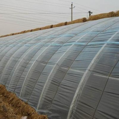 Moneta USA Coltivazione commerciale di pomodori Serra solare per una produzione ottimale di colture